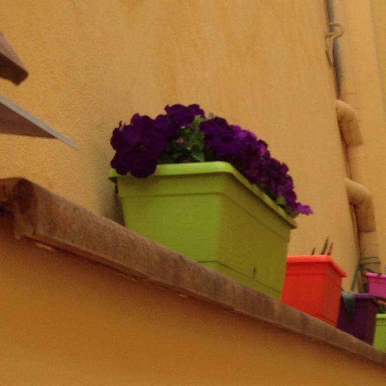 Cosy House 3* Florenz